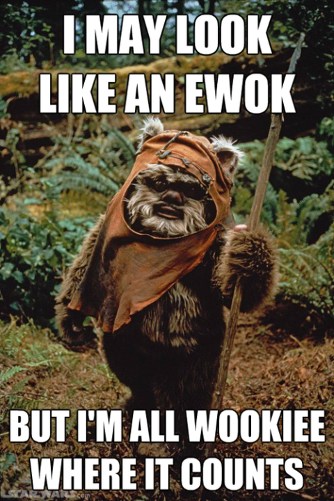 Is it an Ewok? Is it a Wookiee?