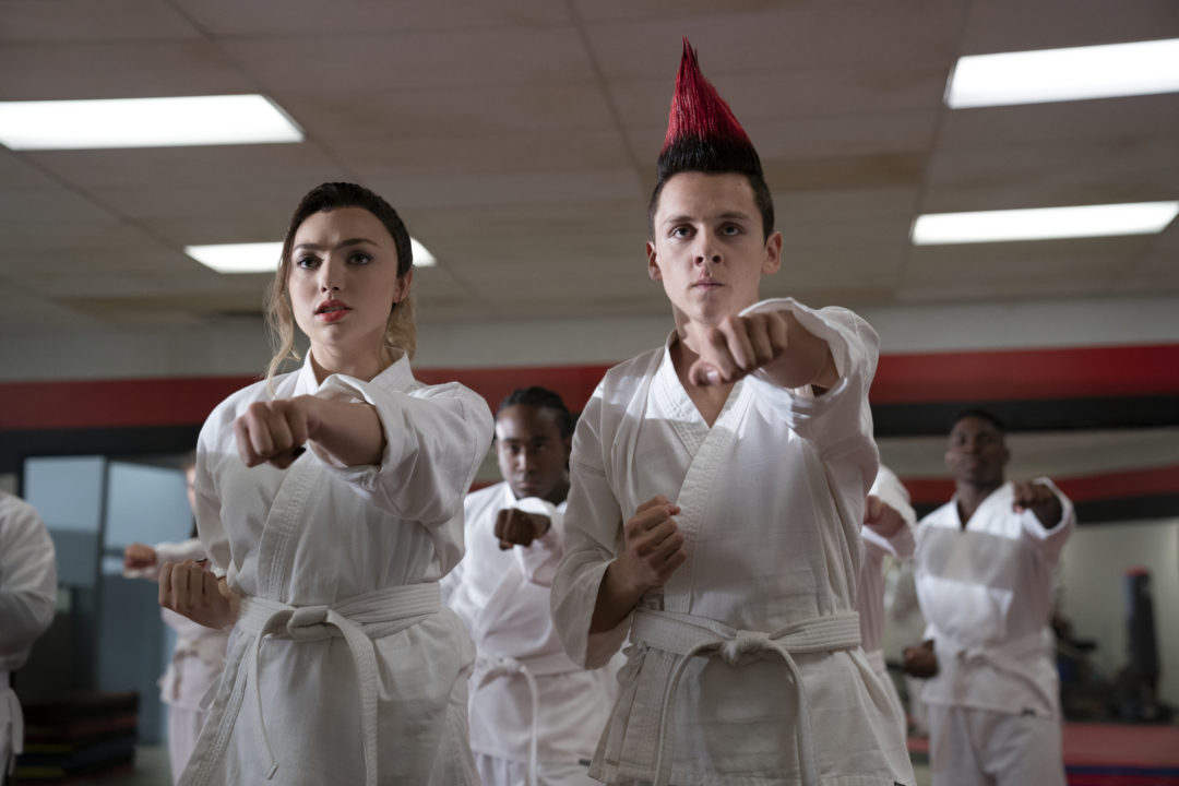 the first cobra kai