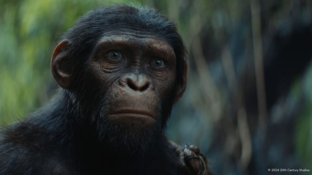 Kingdom of the Planet of the Apes